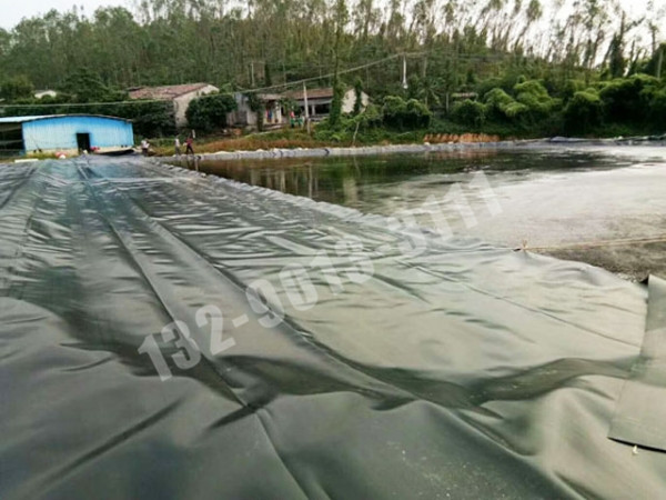沼氣池頂膜