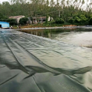 沼氣池頂膜